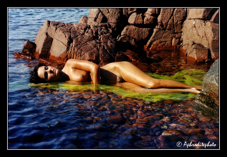 13 Le repos aquatique 1